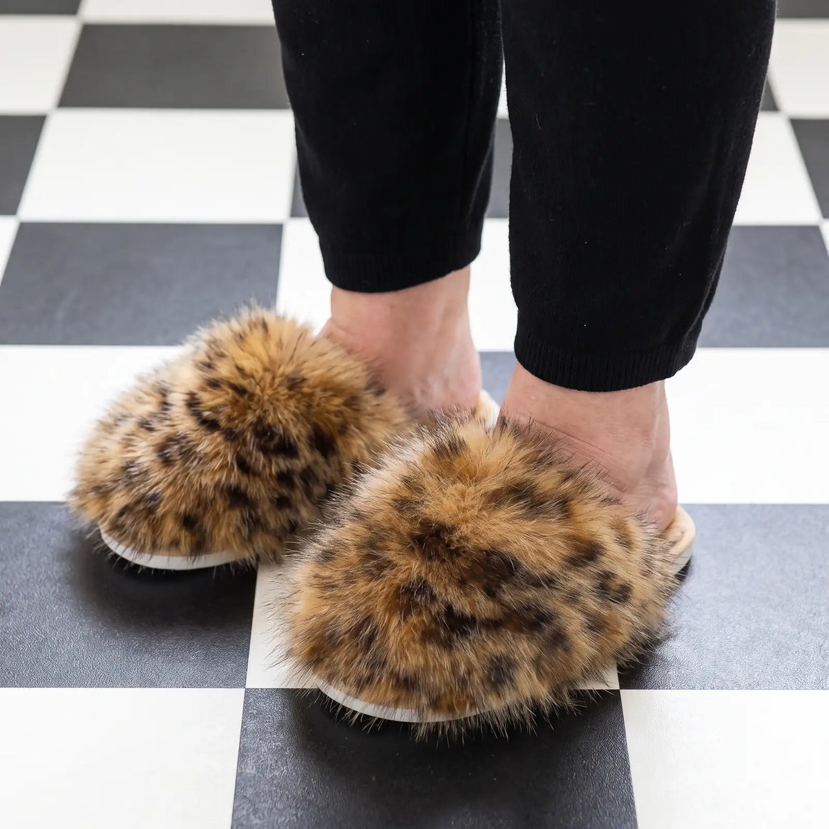 Cloud Fluff Leopard lifestyle