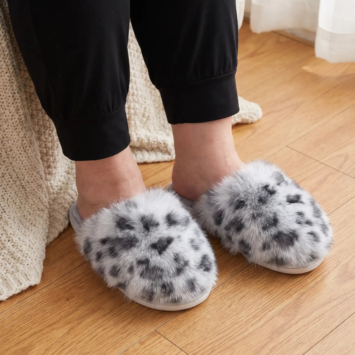 Cloud Fluff Snow Leopard lifestyle
